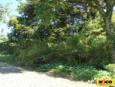 Terreno para Venda, em Nova Petrpolis, bairro Logradouro