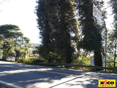 Terreno para Venda, em Nova Petrpolis, bairro Pi