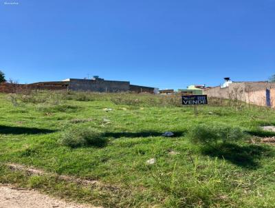 Terreno para Venda, em Santana do Livramento, bairro Divisa