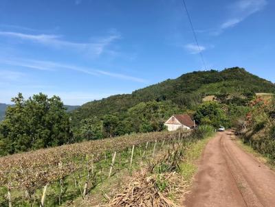 Stio / Chcara para Venda, em Picada Caf, bairro Morro Hansen, 2 dormitrios, 1 banheiro