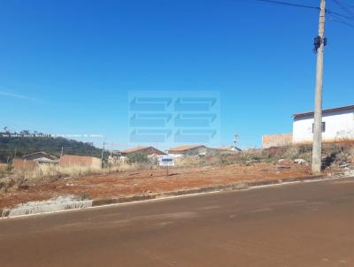 Terreno para Venda, em Batatais, bairro SANTA EFIGNIA