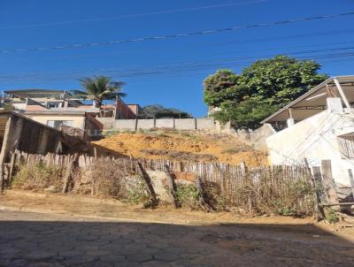 Terreno para Venda, em Cataguases, bairro Primavera