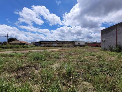 Lote para Venda, em Aparecida de Goinia, bairro Cardoso