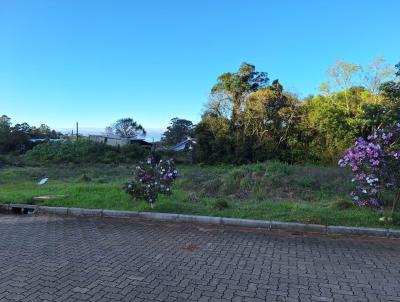 Terreno para Venda, em Morro Reuter, bairro Linha Grgen