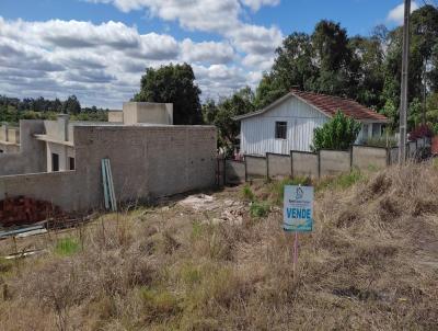 Lote para Venda, em Irati, bairro Canisianas