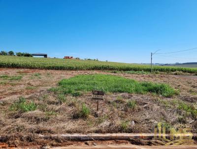 Terreno para Venda, em Santa Cruz do Rio Pardo, bairro Jardim Amrica