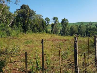 Stio / Chcara para Venda, em Santa Cruz do Rio Pardo, bairro Zona Rural