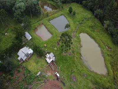 Chcara para Venda, em Coronel Domingos Soares, bairro 