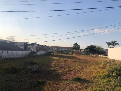 imagem-miniatura