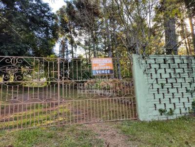 Stio / Chcara para Venda, em Santa Maria, bairro Itaara