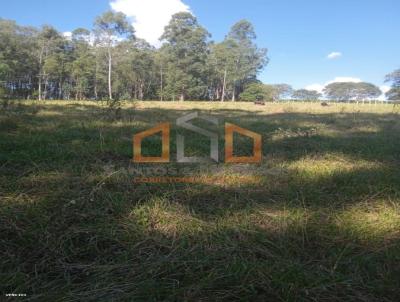 Terreno Rural para Venda, em Senador Jos Bento, bairro senador Jos Bento