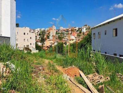 Lote para Venda, em Pouso Alegre, bairro Paraty