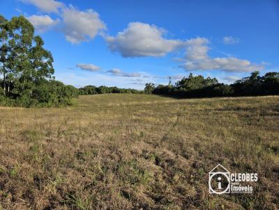 Stio / Chcara para Venda, em Encruzilhada do Sul, bairro Interior