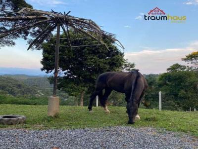 Stio para Venda, em Blumenau, bairro Vila Itoupava, 1 dormitrio