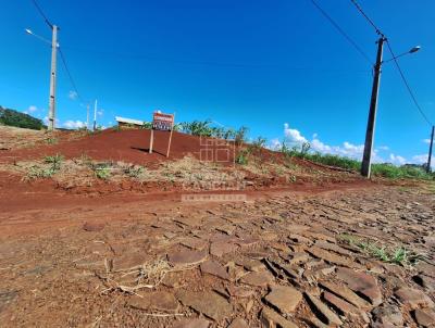 Terreno para Venda, em Tuparendi, bairro Erchardt Thober