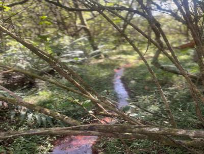 Chcara para Venda, em Entre Rios de Minas, bairro 