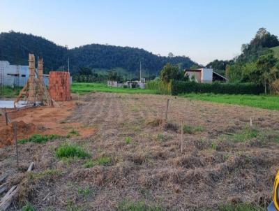 Terreno para Venda, em Leopoldina, bairro rea Rural de Leopoldina