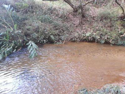 Fazenda para Venda, em So Francisco de Paula, bairro Zona Rural