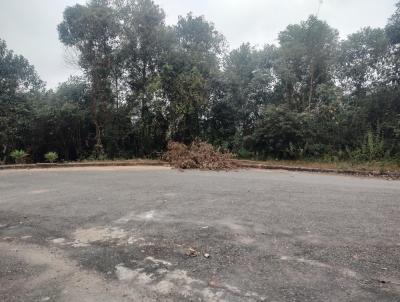 Lote para Venda, em Ouro Branco, bairro Serra Verde