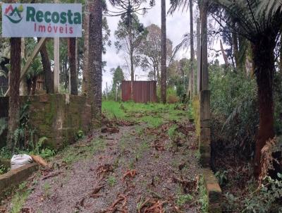 Terreno para Venda, em So Francisco de Paula, bairro COLINAS