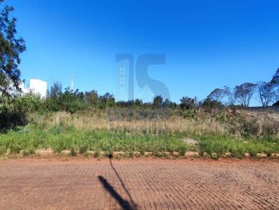 Terreno para Venda, em , bairro Jardim Primavera