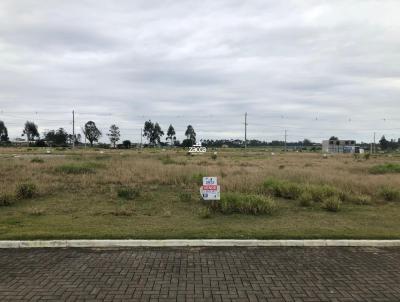 Terreno para Venda, em Ararangu, bairro Cidade Universitria Ararangu