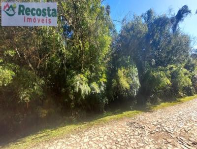 Terreno para Venda, em So Francisco de Paula, bairro COLINAS