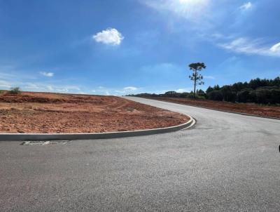 Terreno para Venda, em Araucria, bairro Costeira