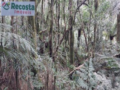 Terreno para Venda, em So Francisco de Paula, bairro COLINAS