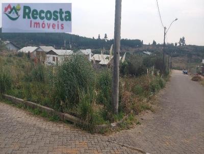 Terreno para Venda, em So Francisco de Paula, bairro CIP