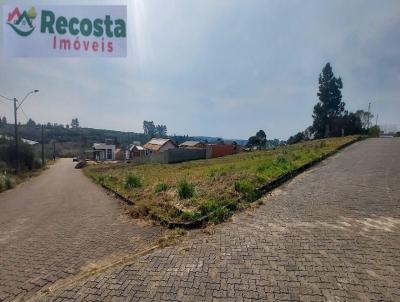 Terreno para Venda, em So Francisco de Paula, bairro CIP