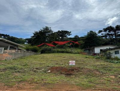 Terreno para Venda, em Caador, bairro Santa Catarina