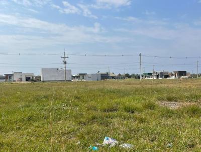 Terreno para Venda, em Osrio, bairro Glria