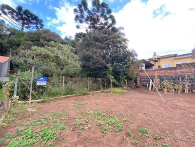 Lote para Venda, em Curitibanos, bairro So Jos