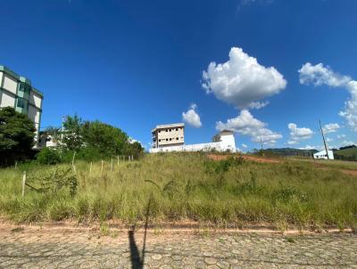 Lote para Venda, em Santa Rita do Sapuca, bairro Jairo Grilo