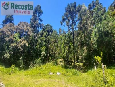 Chcara para Venda, em So Francisco de Paula, bairro CARAPINA