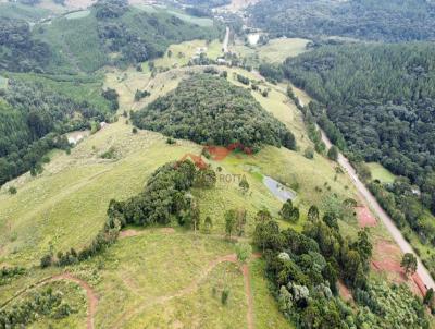 Terreno Rural para Venda, em Caador, bairro Rural