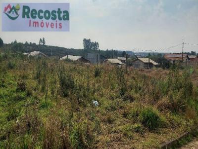 Terreno para Venda, em So Francisco de Paula, bairro CIP