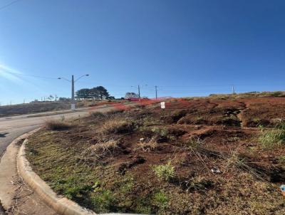 Terreno para Venda, em Caador, bairro Champagnat