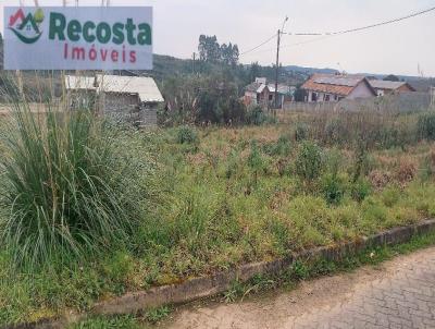 Terreno para Venda, em So Francisco de Paula, bairro CIP