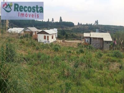 Terreno para Venda, em So Francisco de Paula, bairro CIP