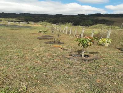 rea para Venda, em Ouro Branco, bairro Pacheco