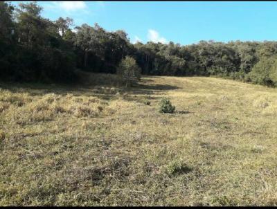 Chcara para Venda, em Ouro Branco, bairro Zona Rural/Folha Larga