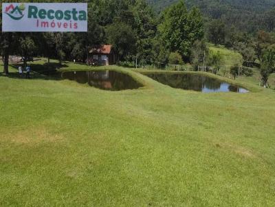 Chcara para Venda, em So Francisco de Paula, bairro SO FRANCISCO DE PAULA