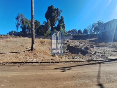 Terreno para Venda, em Guarapuava, bairro Santa Cruz