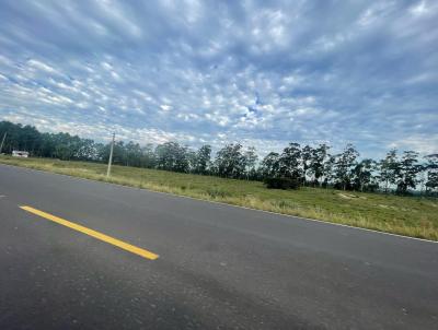 Terreno Comercial para Venda, em Osrio, bairro Medianeira