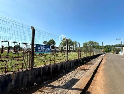 Terreno para Venda, em Santa Rosa, bairro Auxiliadora