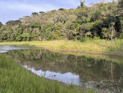 rea Rural para Venda, em Tijucas do Sul, bairro Vossoroca