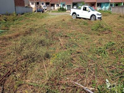 Terreno Urbano para Venda, em Tijucas do Sul, bairro Bosque da Sade