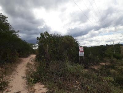 rea para Loteamento para Venda, em Currais Novos, bairro Radi Pereira